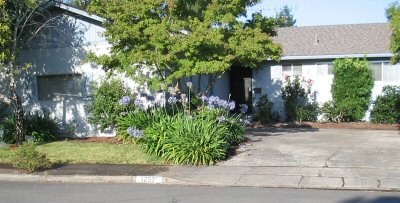 Front Yard / House